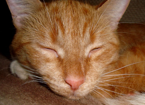 DSC01416 DSC01416