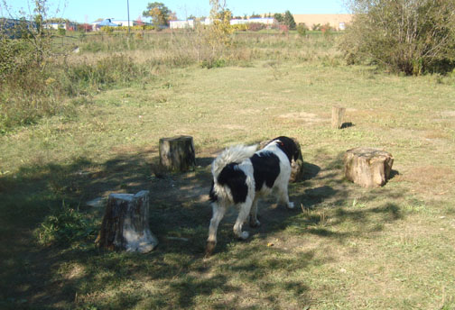 Nobody here now, but this is a popular sitting area