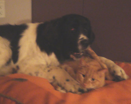 Memphis and Jacques