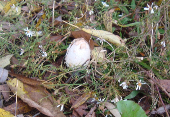 DSC01692
