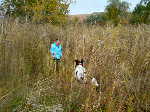 Memphis with Tuffy P in the long grass