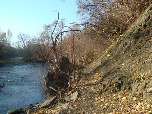 DSC01755