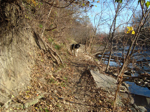 DSC01769