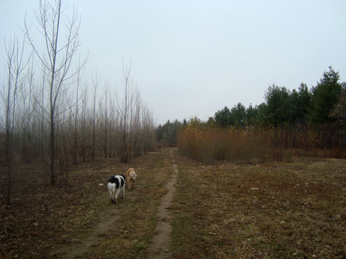 DSC01857