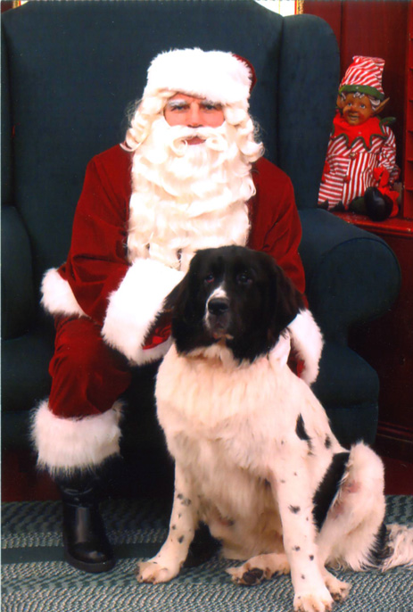 memphiswsanta09 smller