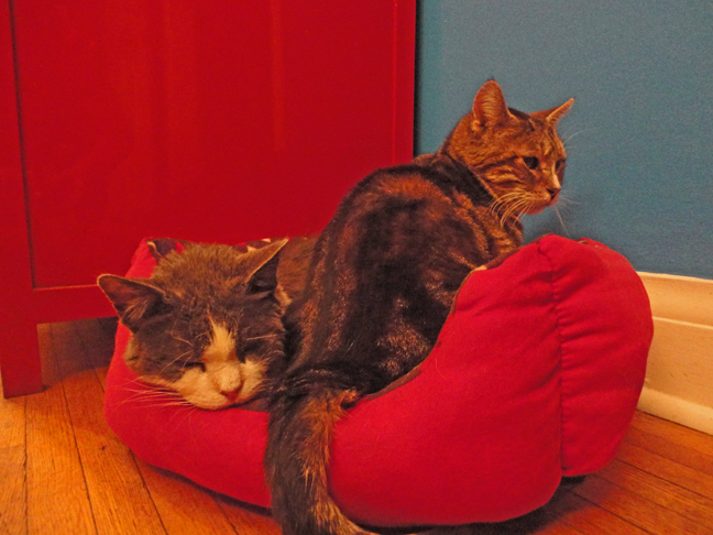 Rossi moves in on Jerry's spot