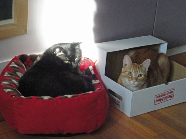 Shadow and Jack Shadbolt