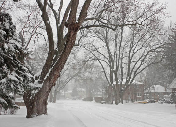 Twenty-seventh Street this afternoon