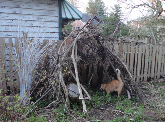 imagination station #2, with Jacques