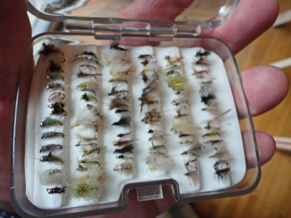 A box of small flies