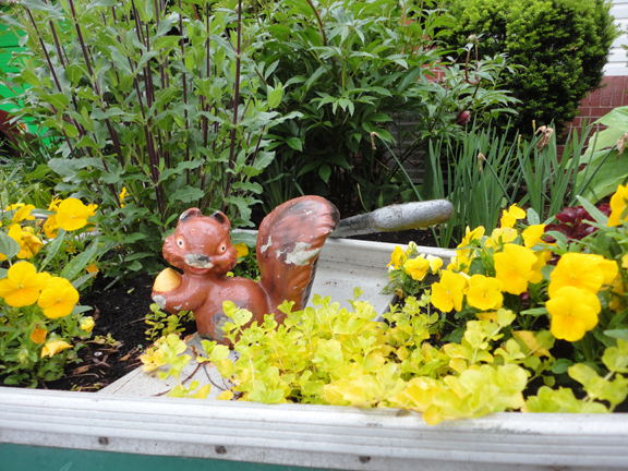 There's a squirrel in the canoe