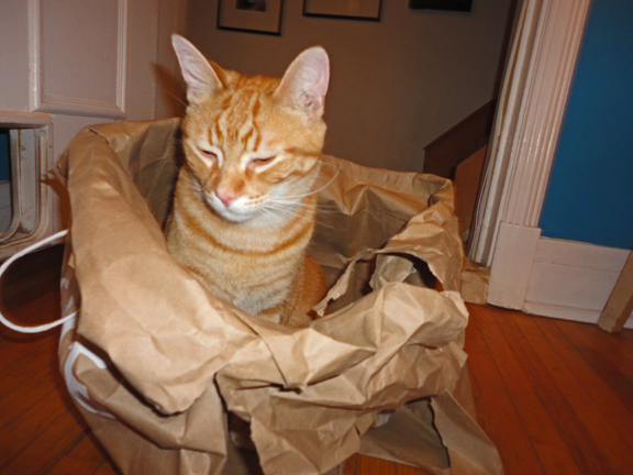 Jack Shadbolt in a bag