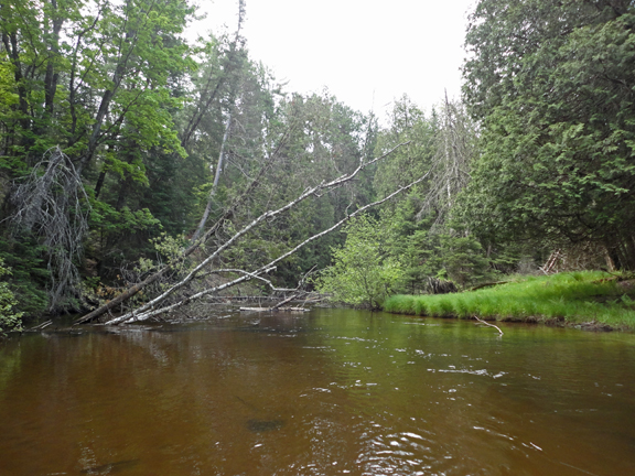Indian River at the campground