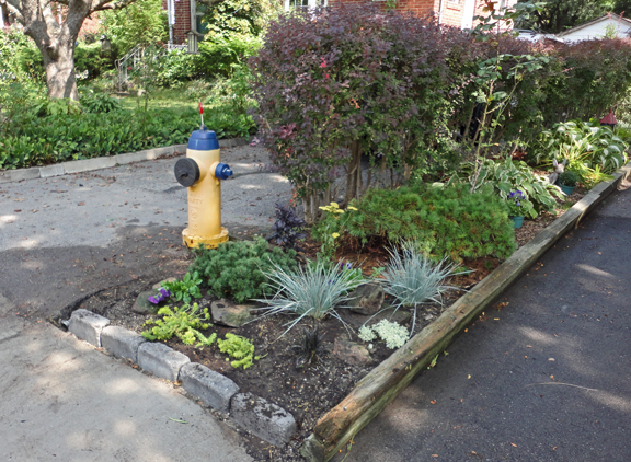 The Hydrant Garden