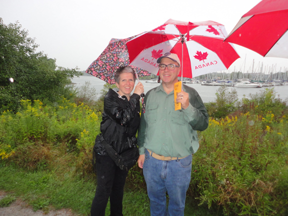 Intrepid but hopeless birdwaters