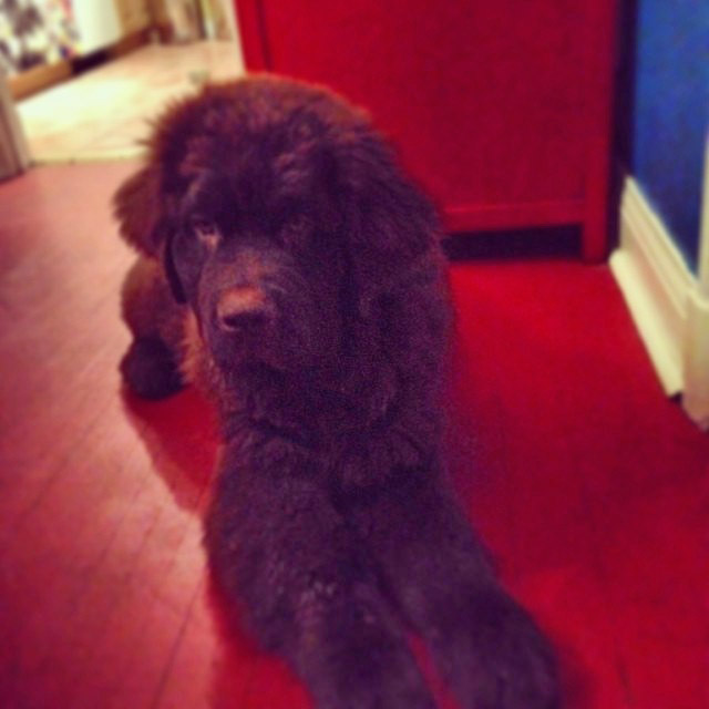 1f6788de7f0d11e38229123c760e532b_8