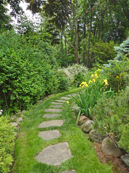 So many garden rooms in the backyard of this Hill Crescent home... here we go.......