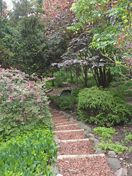 Another view from one of the paths going to the lake from the Hill Crescent home.