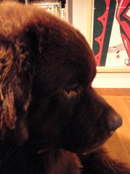 George 5 June 23 seeing the cat