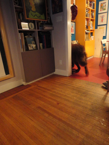 George June 23 following the cat