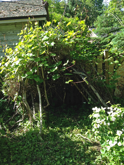 Imagination Station #2