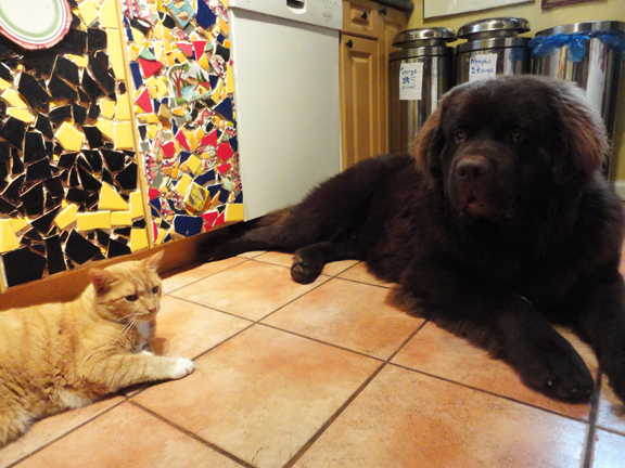 grabbing a cup of joe with George.... good morning from Longbranch Ont!