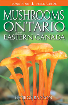 Screen Shot 2014-06-17 at 10.30.14 PM