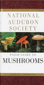 Screen Shot 2014-06-17 at 10.31.33 PM