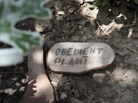 Homemade garden signs rock! Check out these babies catching the sun yesterday during the 15th Annual Artists in the Garden tour.....