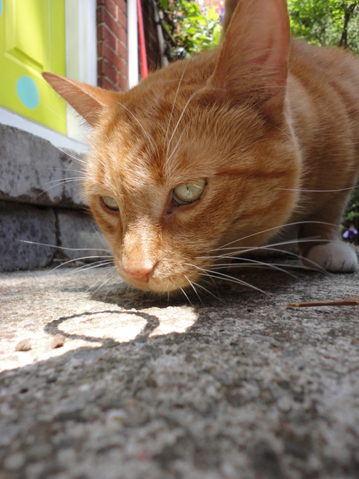 Jacques gets the party started with treats in the morning!