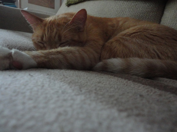 Hit the snooze button- and make that an all day one!