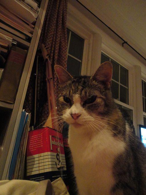 Guess who's 16 and who's 6?  purrrrr purrrrrr purrrr