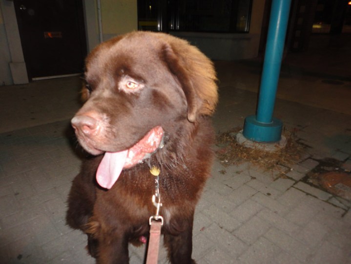 George Aug 8th Lakeshore