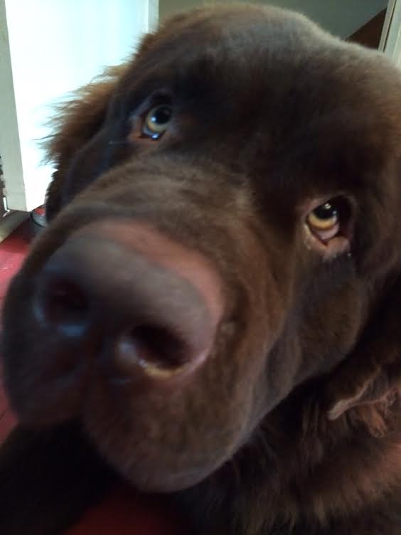 George being cute Aug 2