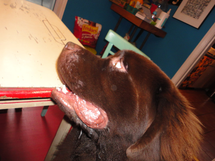 George drooling