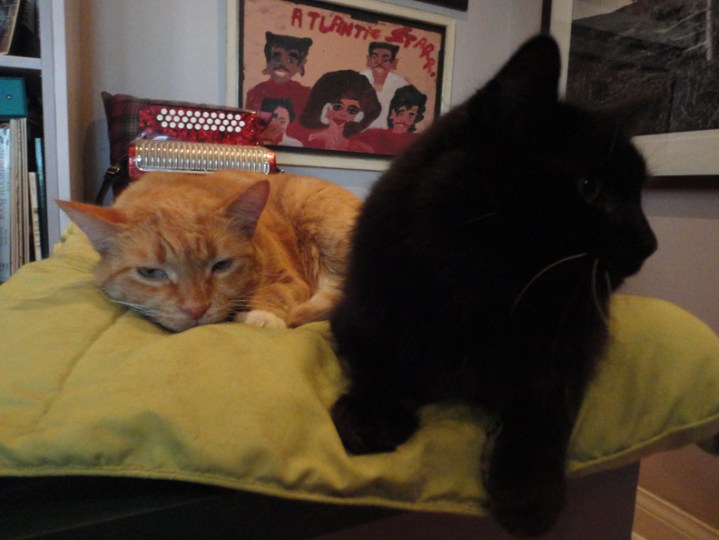 Jacques and Shadow Aug 4