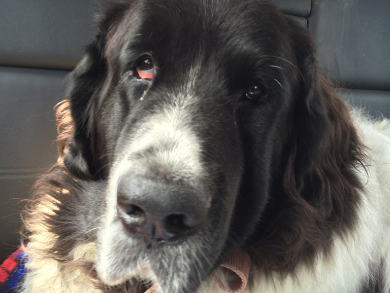 Mem in the back seat Aug 2