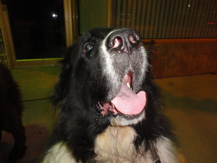 Membles Aug 8 on Lakeshore