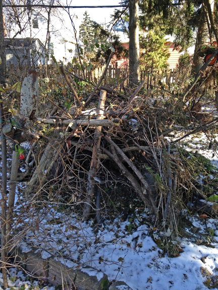 Imagination Station in need of renovation