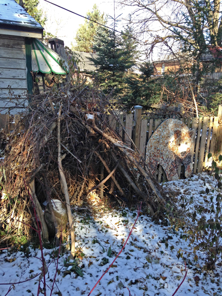 Imagination Station with Grizzly Bear