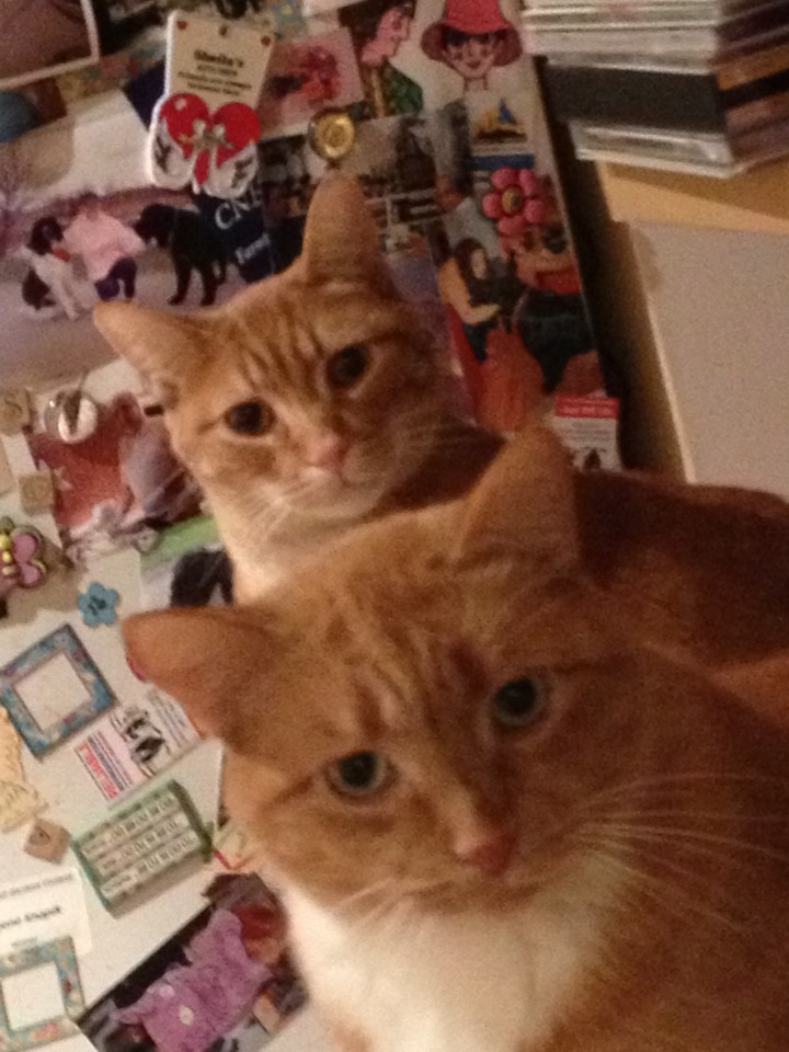 Jack Shadbolt and Jacques - photo credit: Greg O'Connor!