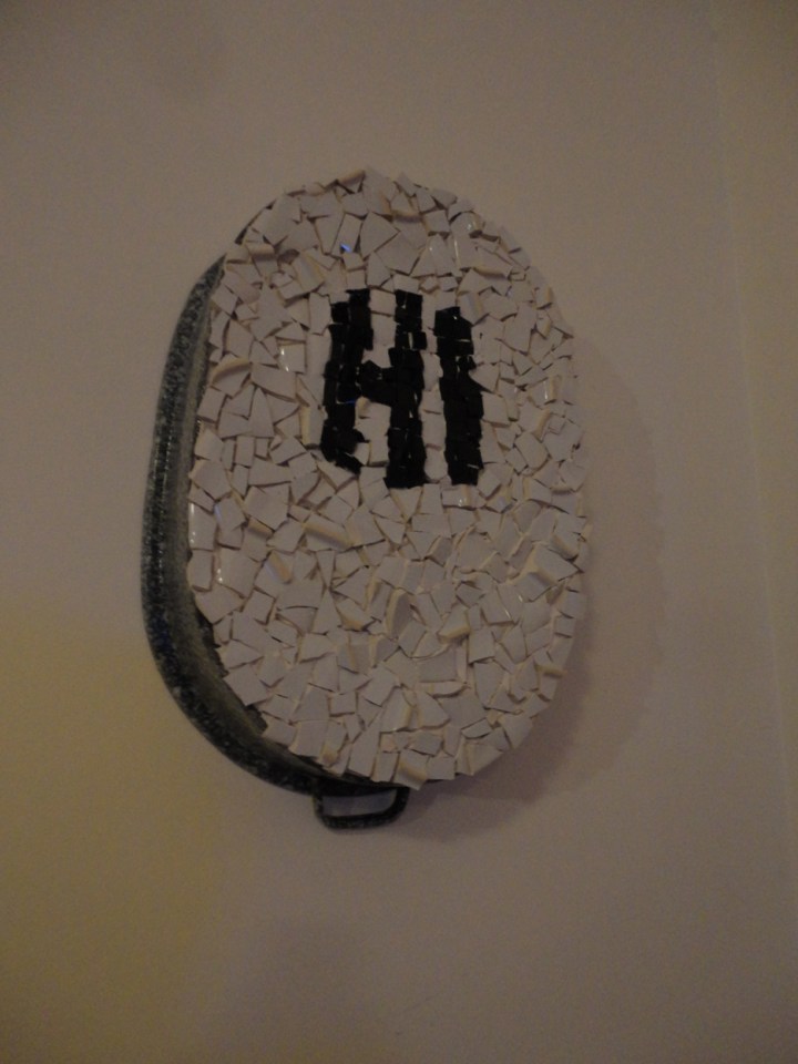 New Mosaic in the house!