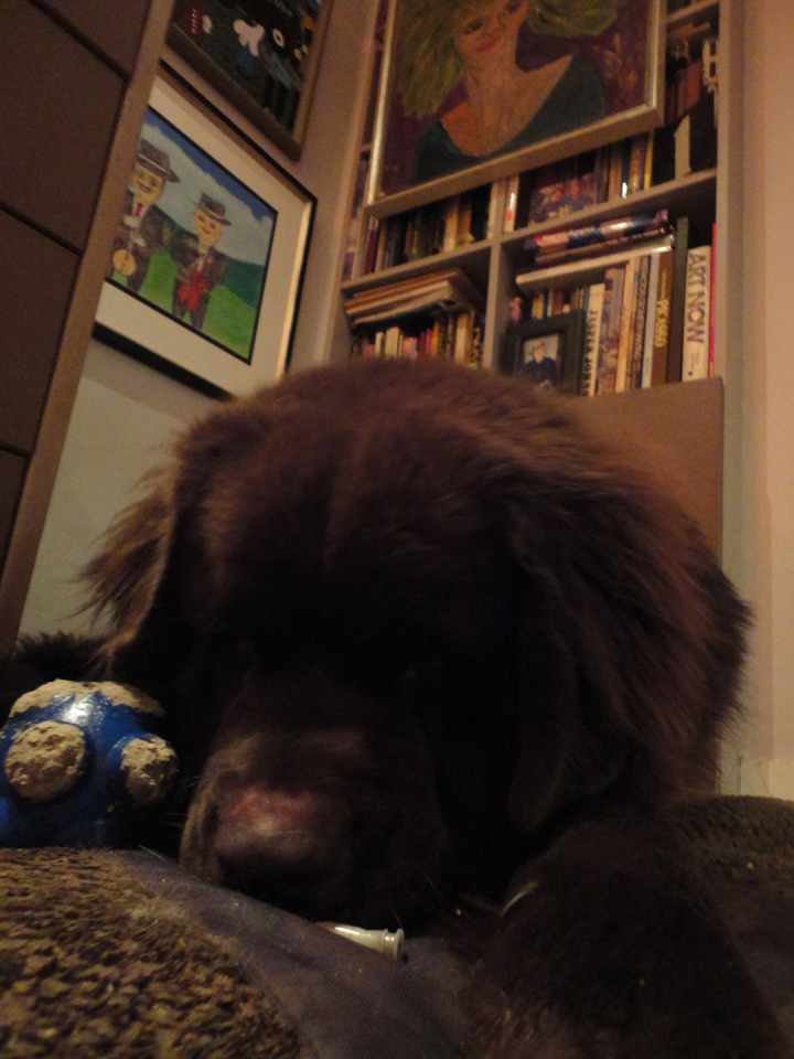 Thursday George 3 broken toy