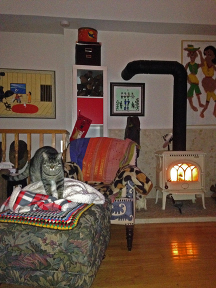 Gracie awakes from a nap in the warmth of the woodstove.