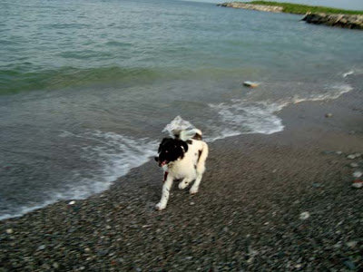 She's always loved the water