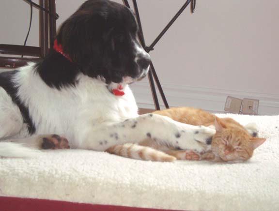 with her pal Jacques