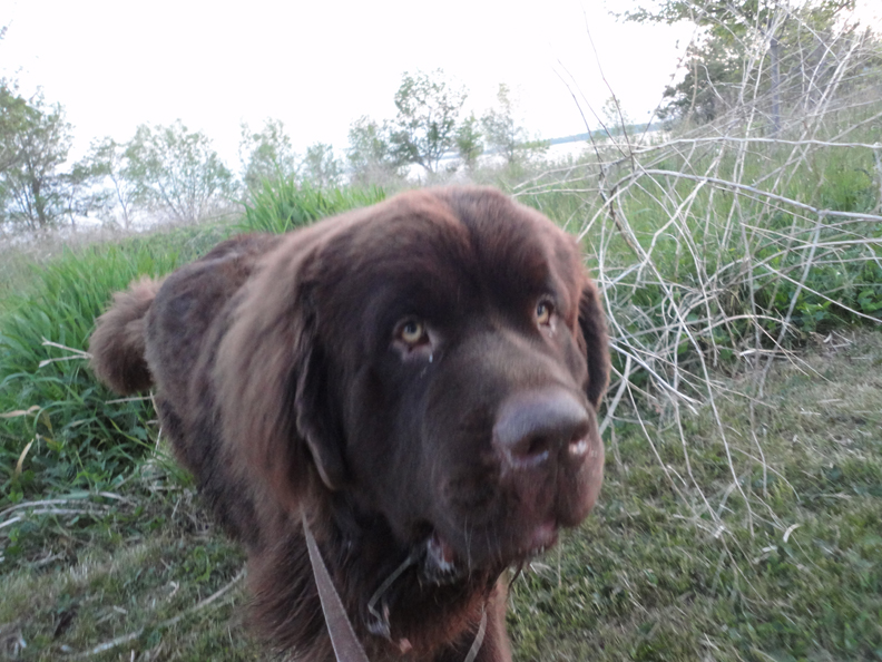 Blasting around the park