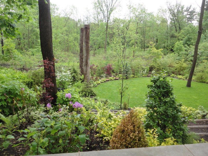 Devestation from Ash Borer