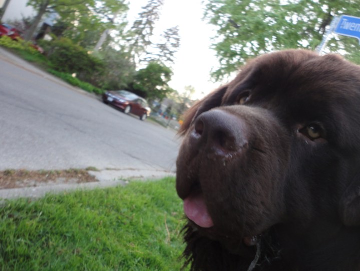George watching biker