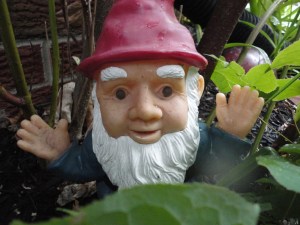 gnome